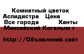 Комнатный цветок Аспидистра › Цена ­ 150 - Все города  »    . Ханты-Мансийский,Когалым г.